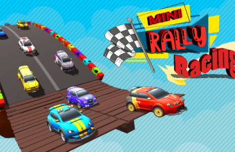 Mini Rally Racing